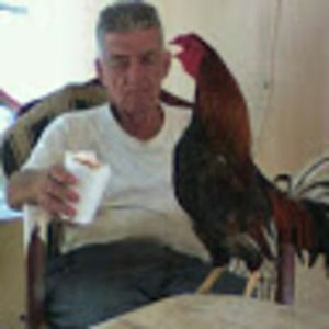 Meet your Posher, Ernesto